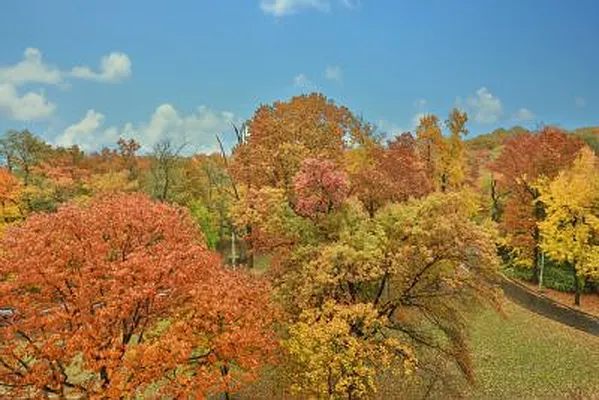 Sold by Trebach Realty | media 12