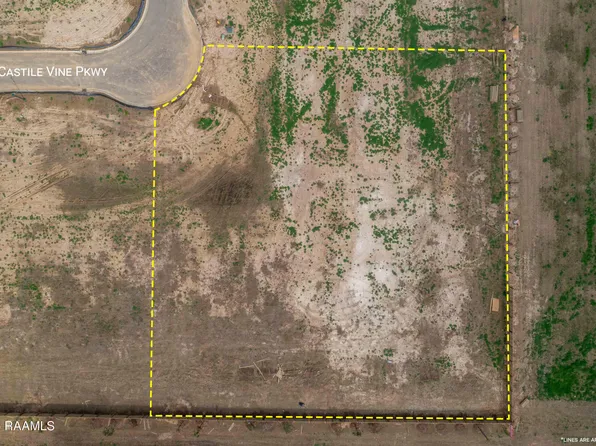 206 Castle Vine Way, Lafayette, LA 70508