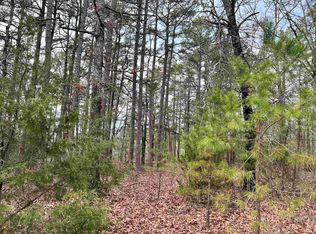 LOT 57 Highway 113, Roland, AR 72135