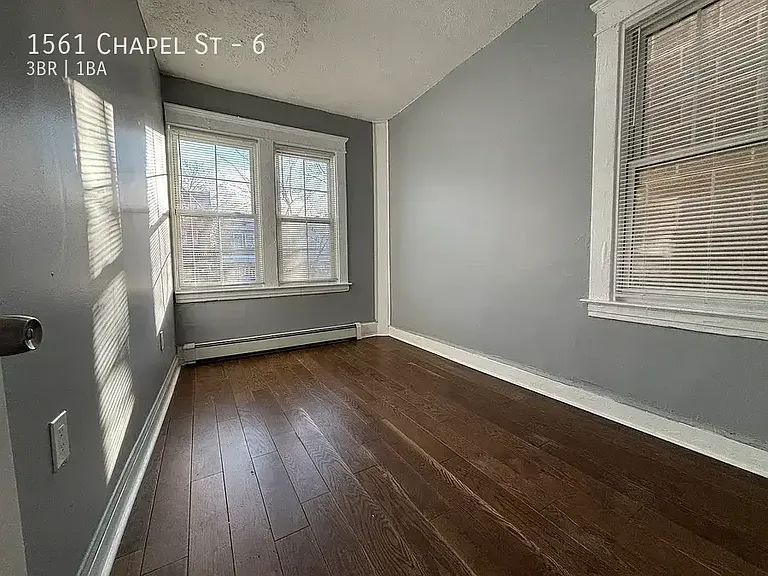 1561 Chapel St #6 — Photo 2