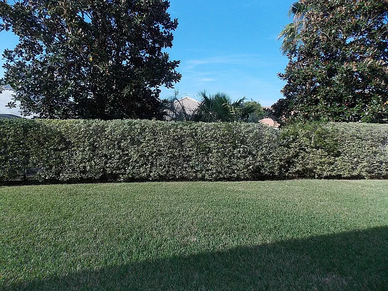 881 W Silver Meadow Loop — Photo 19