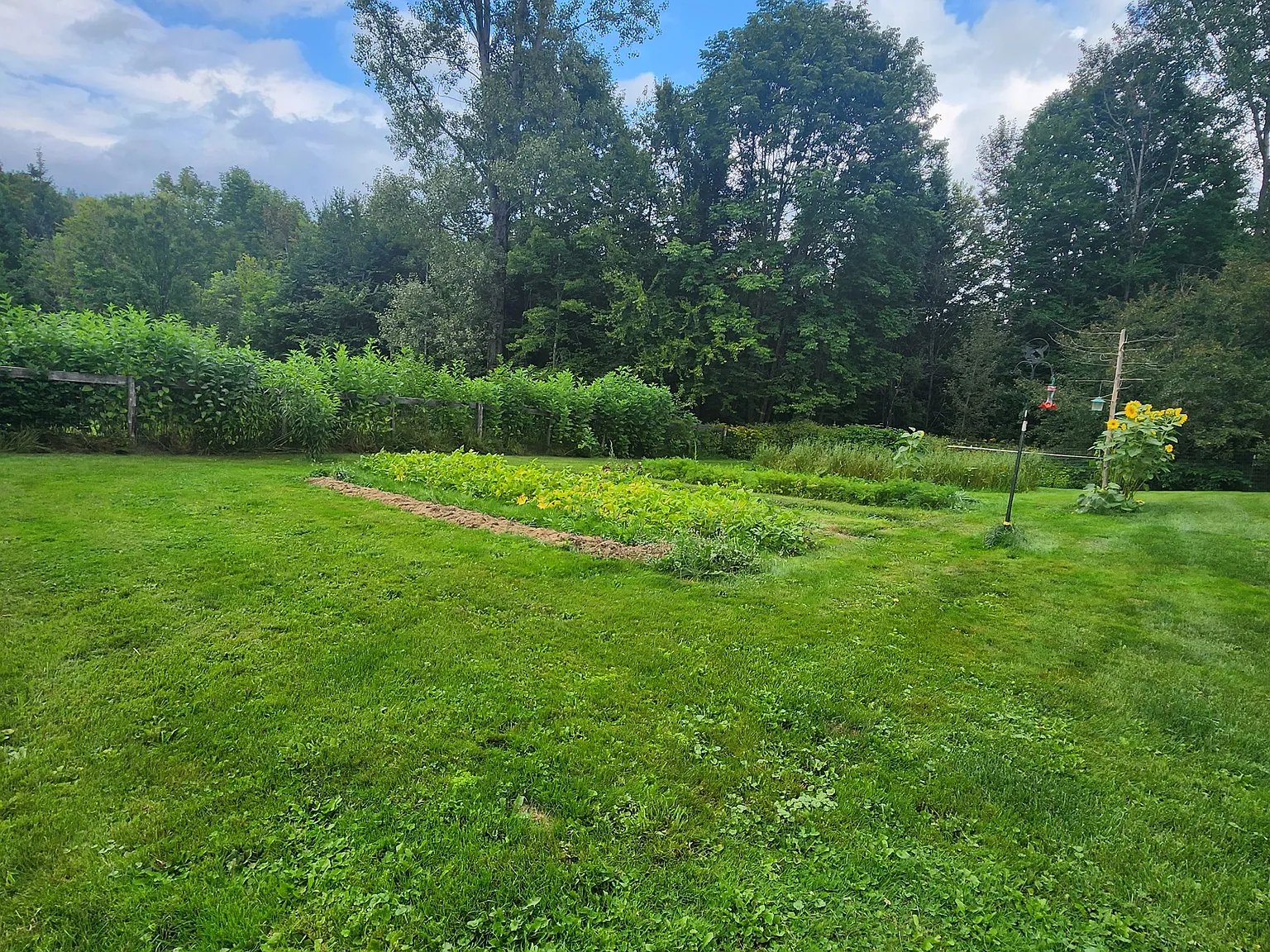 3 bed, 1456 sqft, $2,000 — Photo 3