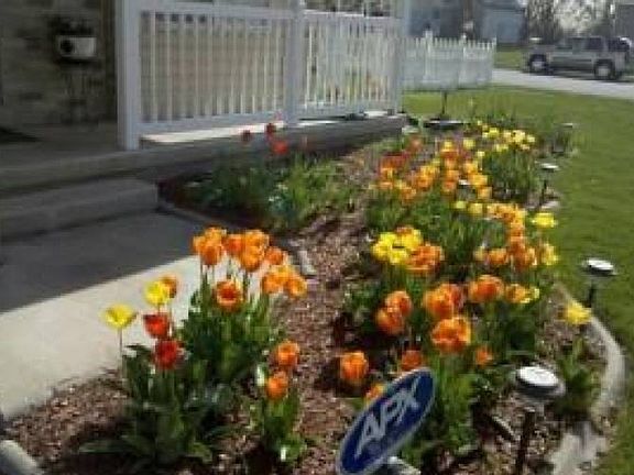 IS-t65y59hjws4d_12152014