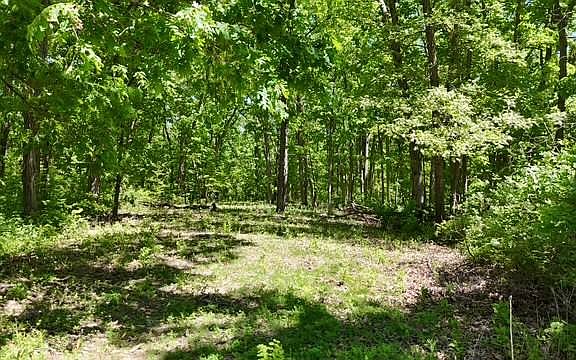 4th image of Phase #3-lot 38