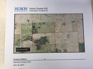 4040 McDonald Rd, Ubly, MI 48475