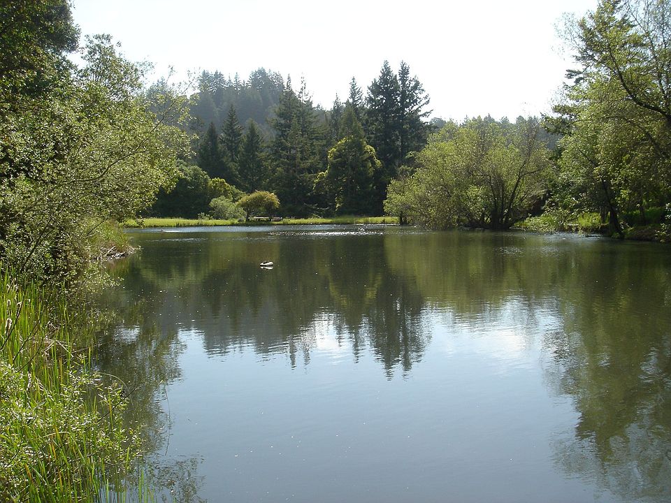 Old Mill Pond Private Shore/Dock