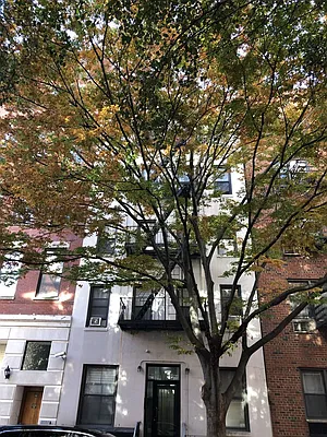 Rented by Sky Management | media 16