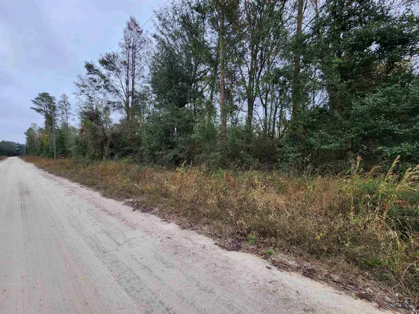 1075 SE Benchmark Dr, Lee, FL 32059