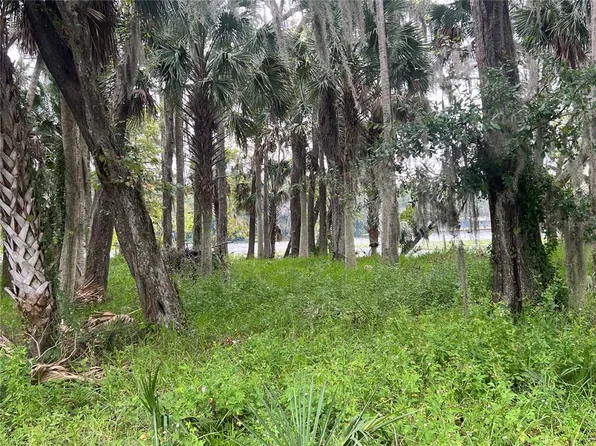 HICKORY ROAD LOT 1, ASTOR, FL 32102