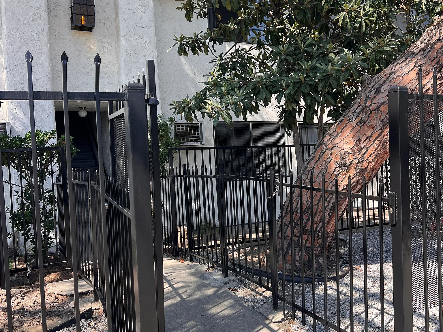 2 bed, $2,250 — Photo 3