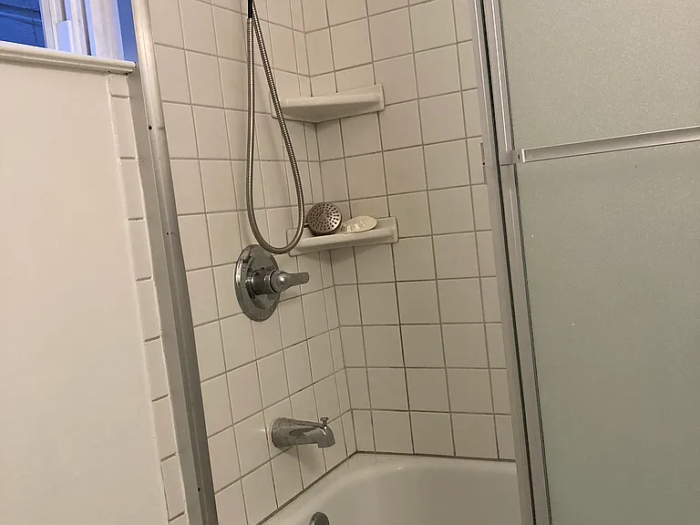 Full shower with ample shelves