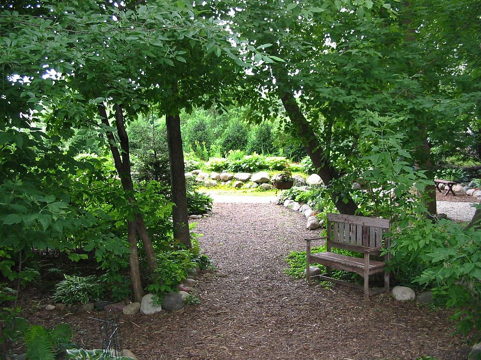 View of backyard from screen porch