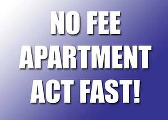 Rented by Contact Realty | media 36