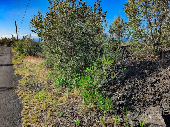 Tree Fern Ln Lot 22, Captain Cook, HI 96704
