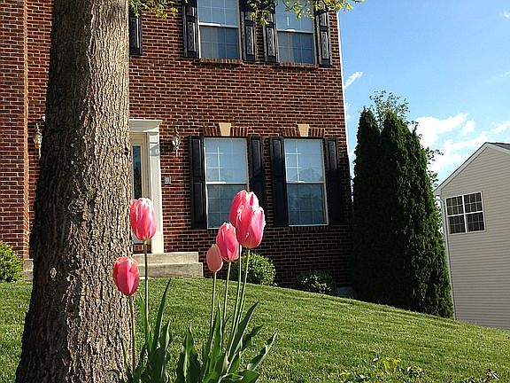 3rd image of 314 Hidden Creek Ln