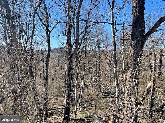 3rd image of 0 Rampike Hill Rd