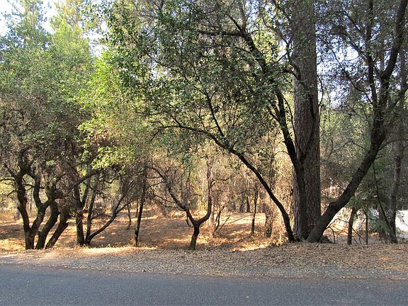 4th image of 1153 Madrone Ln