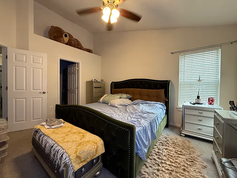 12031 Amber Ridge Cir — Photo 18
