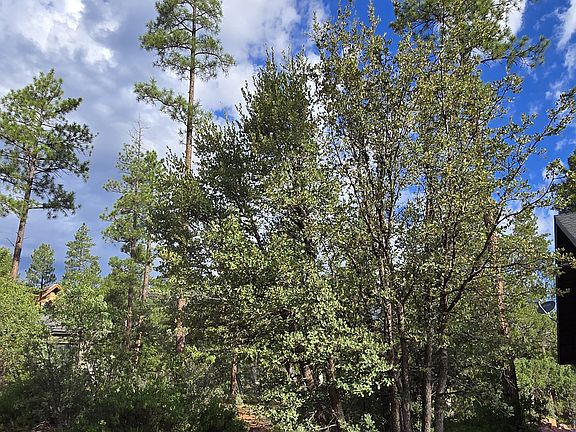 2nd image of 0 W Forest Trl