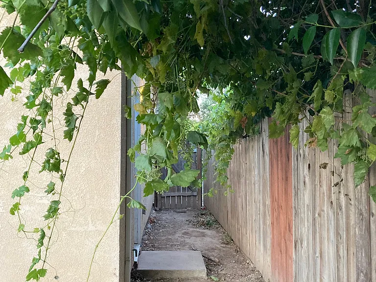 Side Yard