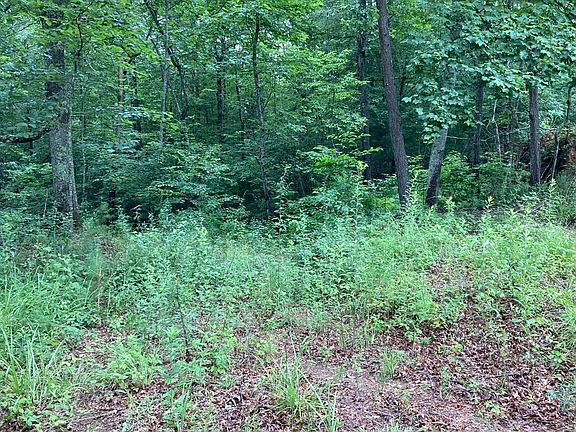 3rd image of 0 Mouse Creek Trl