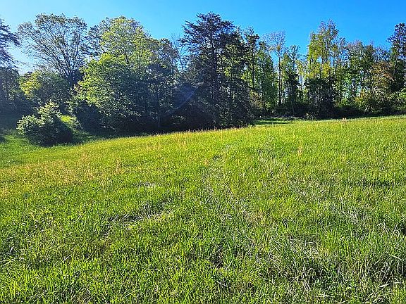 3rd image of 0 Majestic Meadows Way
