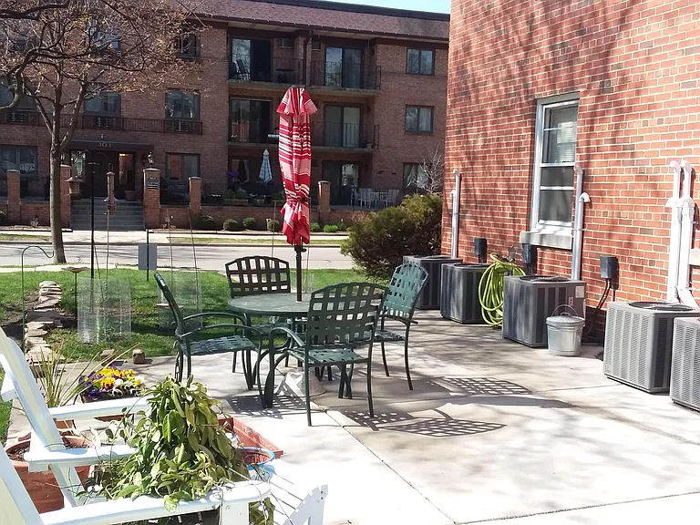 Back Patio Full View