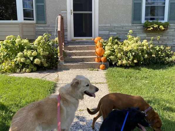 2721 Meridian Dr, Robbinsdale, MN 55422