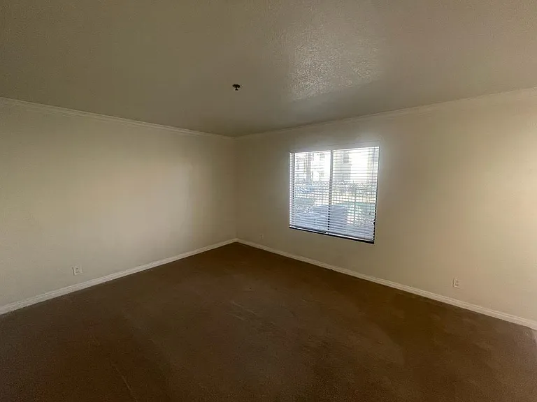 43376 Cook St #169 — Photo 12