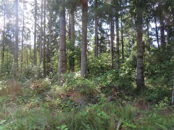 Alpenridge Rd, Kelso, WA 98626