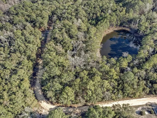LOT 25 Blue Creek Rd, Ponce De Leon, FL 32455