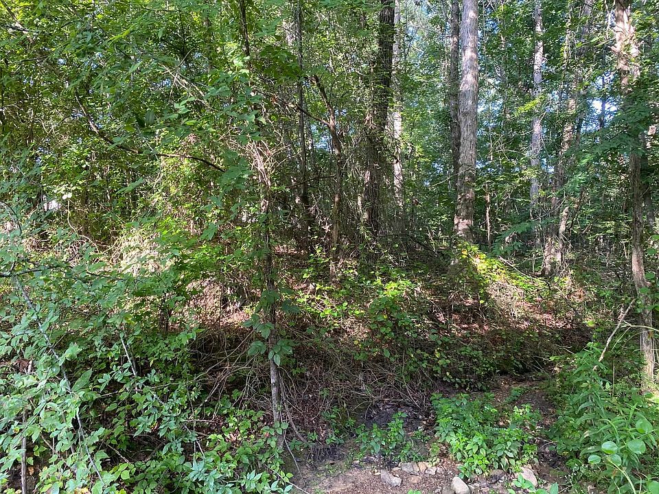 2nd image of Country Woods Dr Lot 1