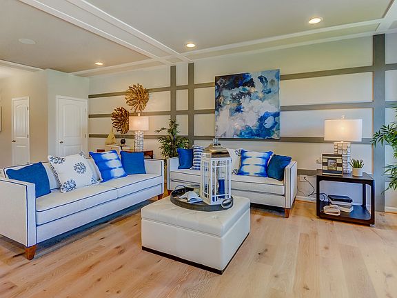Sun-lit family room