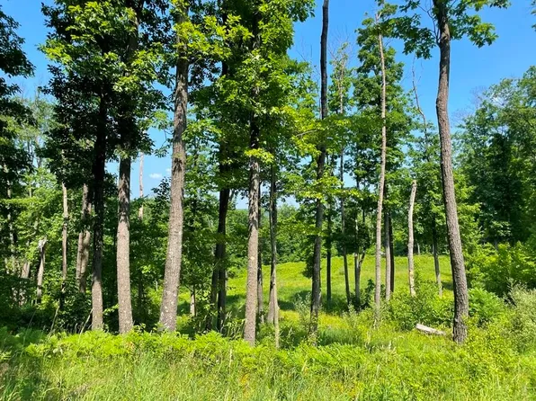 Woefl Rd, Lyndon Station, WI 53944