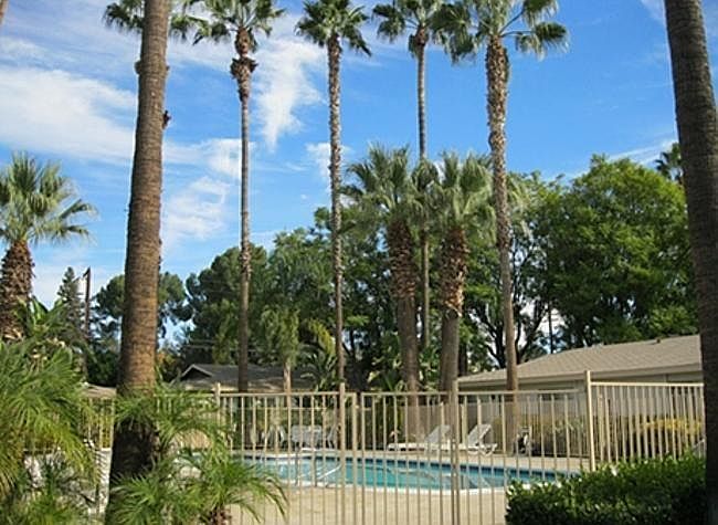 Tropical Swimming Pool