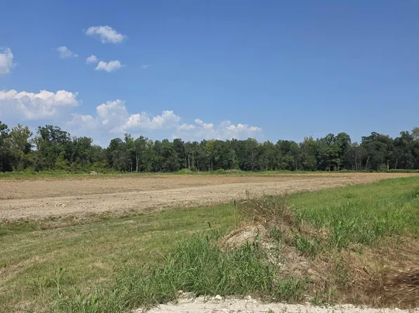 39262 W Edenborne Pkwy, Gonzales, LA 70737