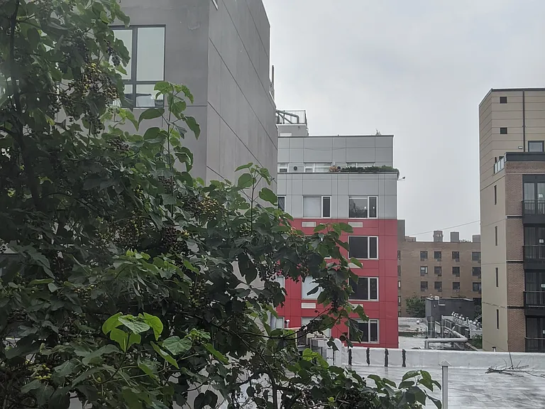 20 Clinton St #4F — Photo 8