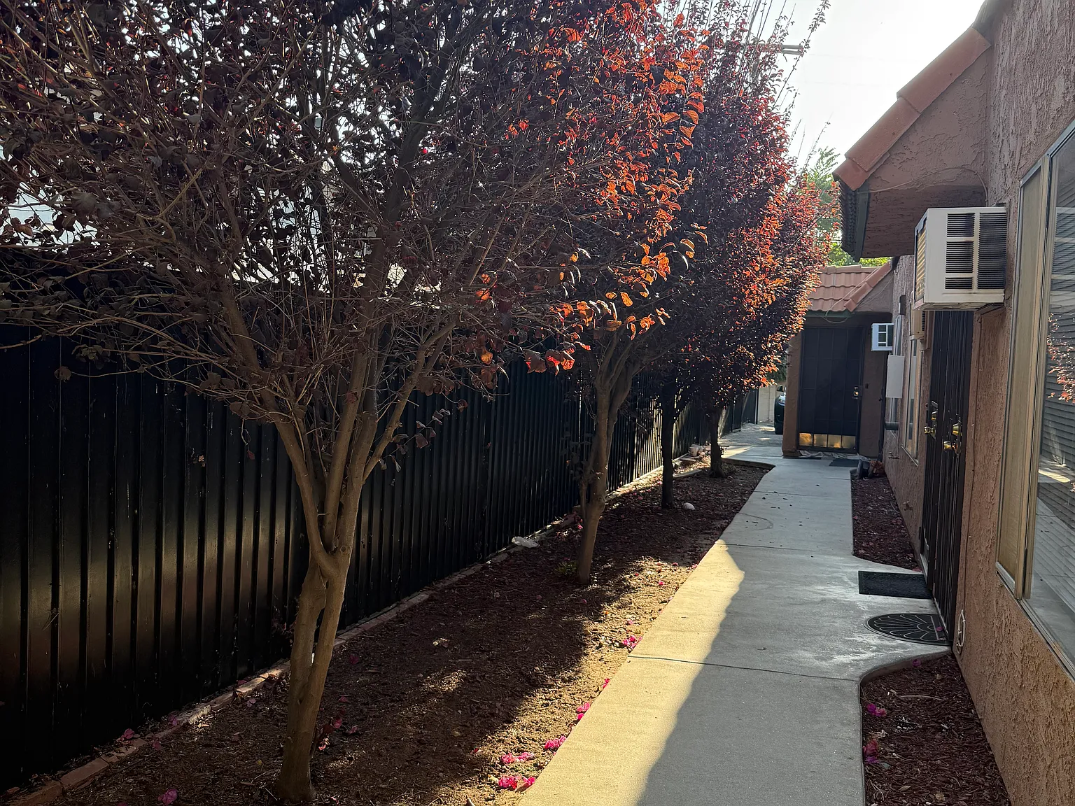 1 bed, $1,890 — Photo 2