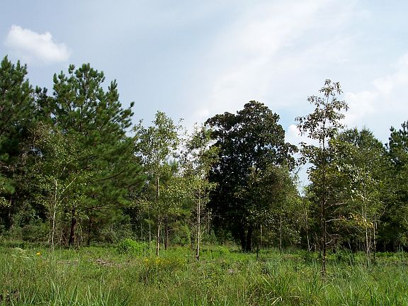 4th image of CR 4515
