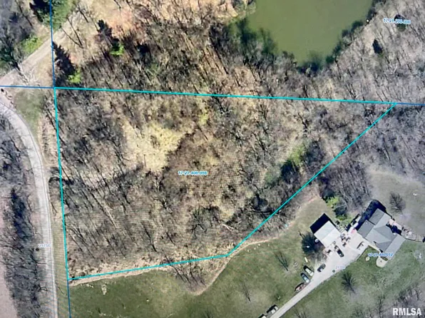 Old Farm Ave, Petersburg, IL 62675