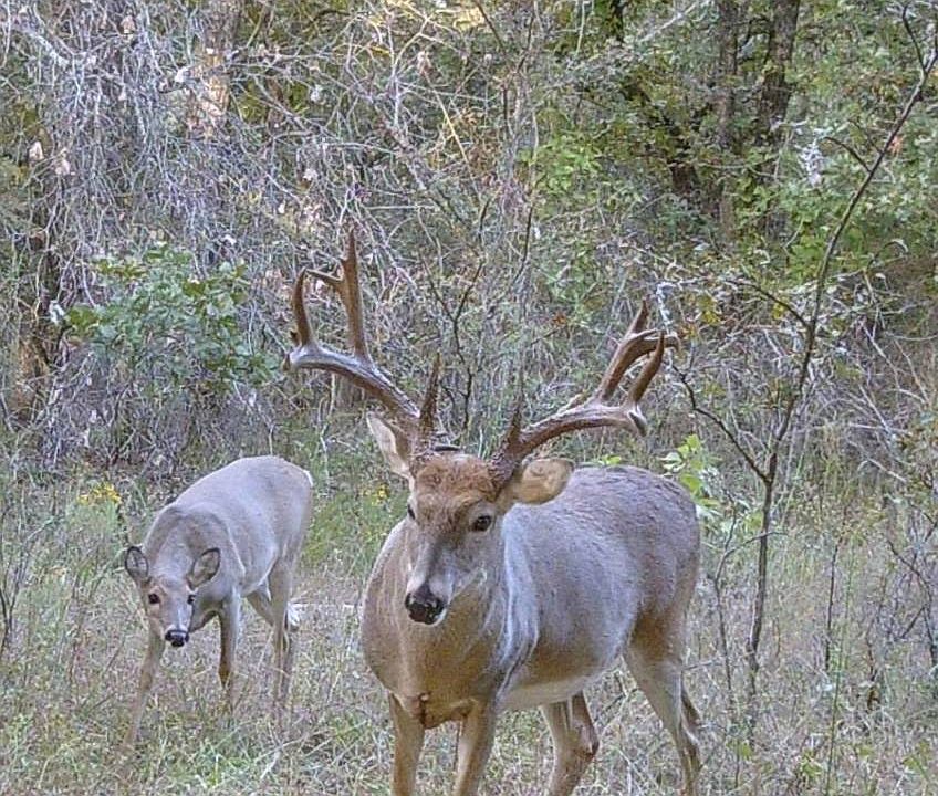 1st image of 7000-7016 Loblolly Rd