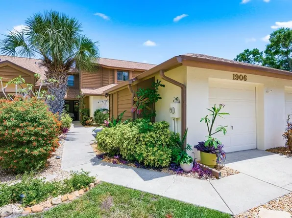 1906 Westley St, Safety Harbor, FL 34695