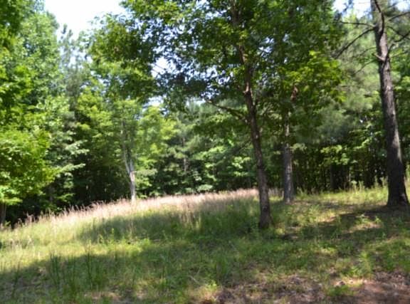 2nd image of LOT 50 Topside Dr