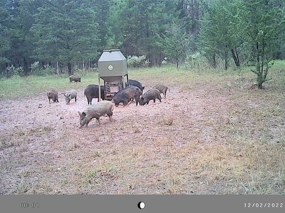 1st image of County Road 3250