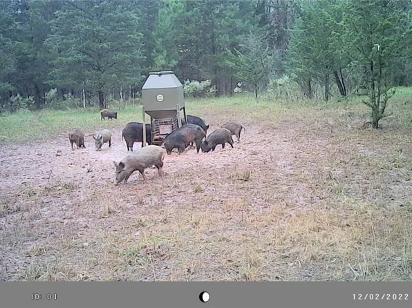 County Road 3250, Clarksville, TX 75426