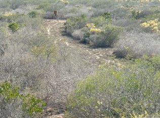 TR102 Frontier A Rd LOT TR102, Freer, TX 78357