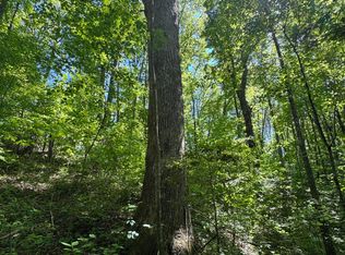 5.88 Main St, Palmer, TN 37365