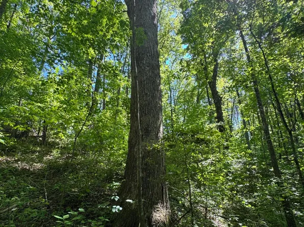 5.88 Main St, Palmer, TN 37365