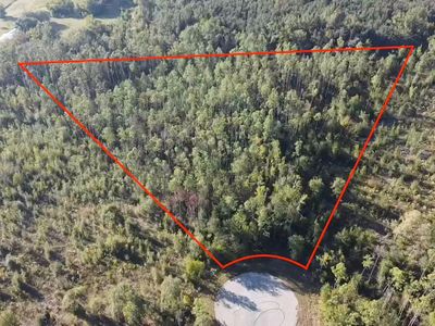 209th Ct, Live Oak, FL, 32060