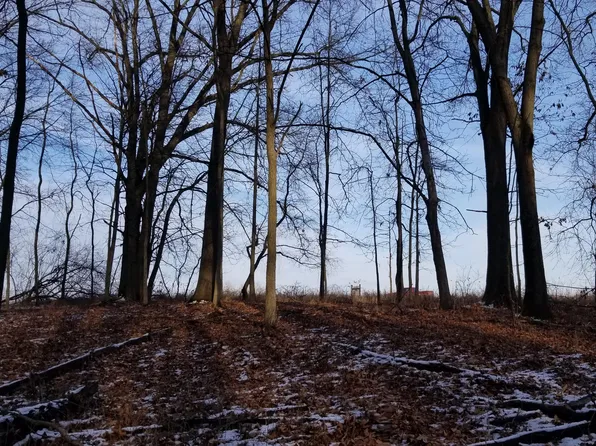 856 Greystone Dr, Chelsea, MI 48118